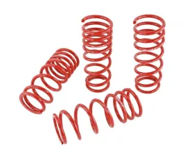 Skunk2 Lowering Springs