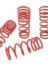 Skunk2 Lowering Springs                                     - 519-05-1680 - Image 6