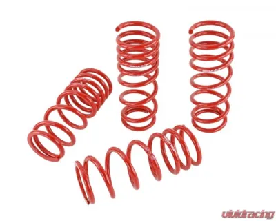 Skunk2 Lowering Springs - 519-05-1680
