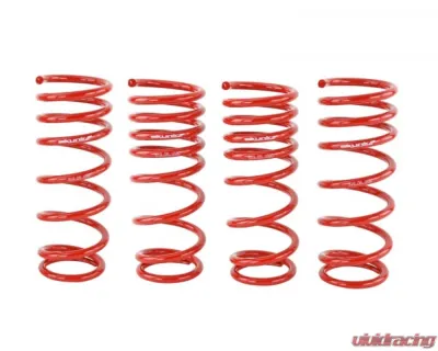 Skunk2 Lowering Springs - 519-05-1680