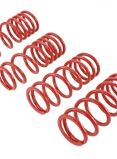 Skunk2 Lowering Springs                                     - 519-05-1680 - Image 3