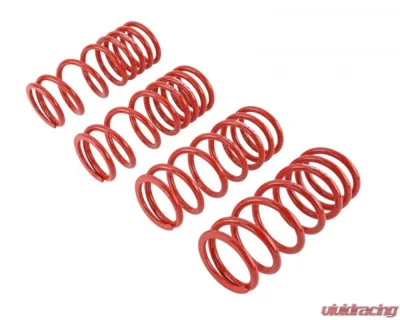 Skunk2 Lowering Springs - 519-05-1680