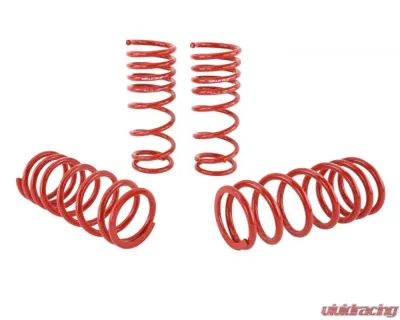 Skunk2 Lowering Springs - 519-05-1680