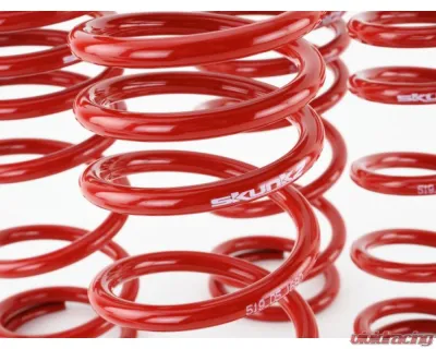 Skunk2 Lowering Springs - 519-05-1680
