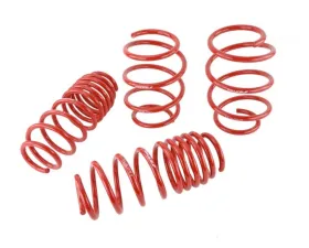 Skunk2 Lowering Springs
