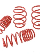 Skunk2 Lowering Springs                                     - 519-05-1775 - Image 7