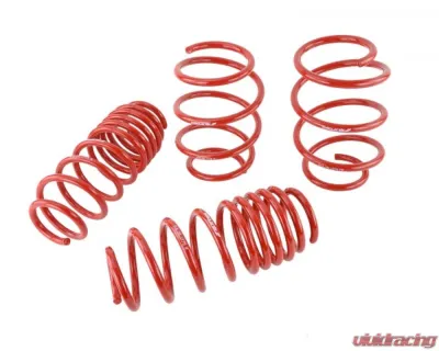 Skunk2 Lowering Springs - 519-05-1775