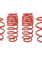 Skunk2 Lowering Springs                                     - 519-05-1775 - Image 2