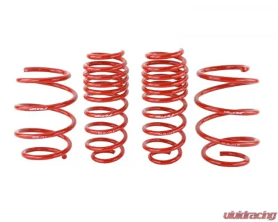 Skunk2 Lowering Springs - 519-05-1775