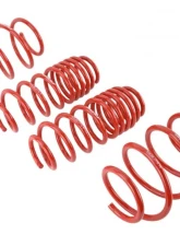 Skunk2 Lowering Springs                                     - 519-05-1775 - Image 3