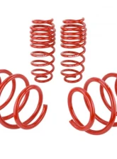 Skunk2 Lowering Springs                                     - 519-05-1775 - Image 4