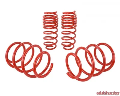 Skunk2 Lowering Springs - 519-05-1775