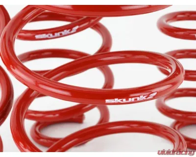 Skunk2 Lowering Springs - 519-05-1775