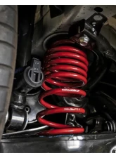 Skunk2 Lowering Springs                                     - 519-05-1775 - Image 7