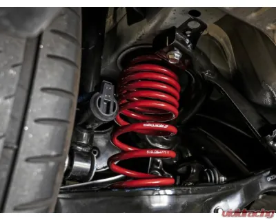 Skunk2 Lowering Springs - 519-05-1775