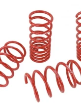 Skunk2 Lowering Springs                                     - 519-12-1001 - Image 6