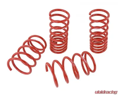 Skunk2 Lowering Springs - 519-12-1001