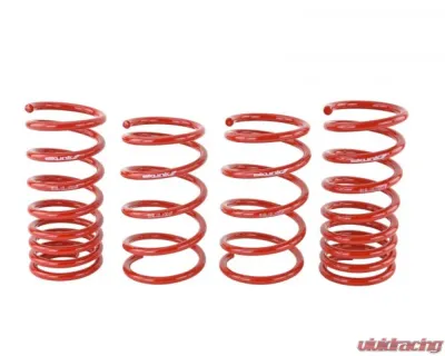 Skunk2 Lowering Springs - 519-12-1001