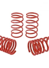Skunk2 Lowering Springs                                     - 519-12-1001 - Image 4