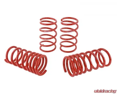 Skunk2 Lowering Springs - 519-12-1001