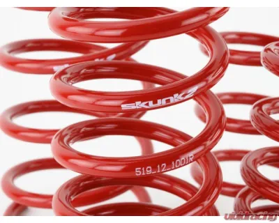 Skunk2 Lowering Springs - 519-12-1001