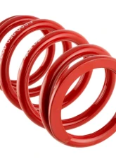 Skunk2 Universal Race Spring (Elliptical) - 6 in.L - 2.5 in.ID - 6kg/mm                                     - 521-99-0985 - Image 2