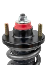 Skunk2 Pro-S II Drag Spec Coilovers                                     - 541-05-5005 - Image 6