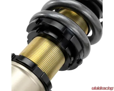 Skunk2 Pro-S II Drag Spec Coilovers - 541-05-5005