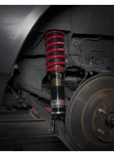 Skunk2 Pro-ST Coilovers                                     - 541-05-8400 - Image 6