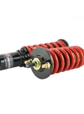 Skunk2 Pro-ST Coilovers                                     - 541-05-8715 - Image 3