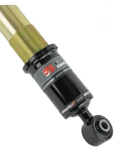 Skunk2 Pro-ST Coilovers                                     - 541-05-8750 - Image 5