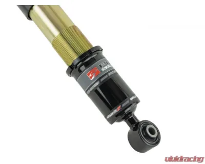 Skunk2 Pro-ST Coilovers - 541-05-8750