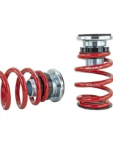 Skunk2 Pro-ST Coilovers                                     - 541-05-8760 - Image 4