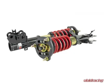 Skunk2 Pro-ST Coilovers - 541-05-8770
