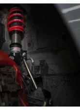 Skunk2 Pro-ST Coilovers                                     - 541-05-8781 - Image 2