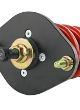 Skunk2 Pro-ST Coilovers                                     - 541-10-1100 - Image 5