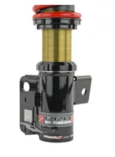 Skunk2 Pro-ST Coilovers                                     - 541-12-8500 - Image 4