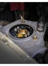 Skunk2 Pro-ST Coilovers                                     - 541-12-8500 - Image 8
