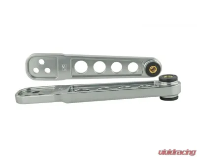 Skunk2 Rear Pro Lower Control Arm Titanium - 542-05-0200