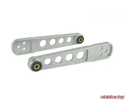 Skunk2 Rear Pro Lower Control Arm Titanium - 542-05-0220