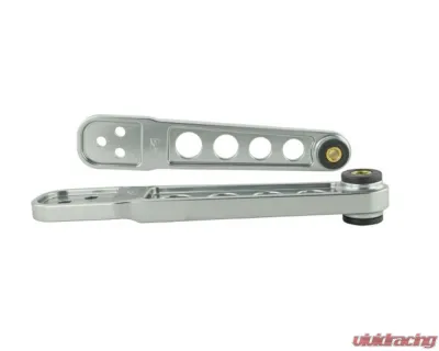 Skunk2 Rear Pro Lower Control Arm Titanium - 542-05-0220
