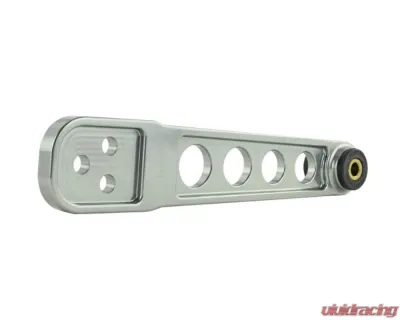 Skunk2 Rear Pro Lower Control Arm Titanium - 542-05-0220