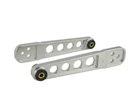 Skunk2 Rear Pro Lower Control Arm Clear Anodized