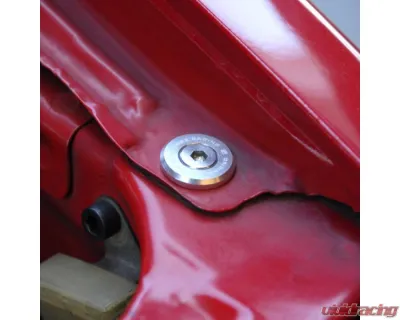 Skunk2 Large Fender Washer Kit Clear Anodized - 649-05-0220