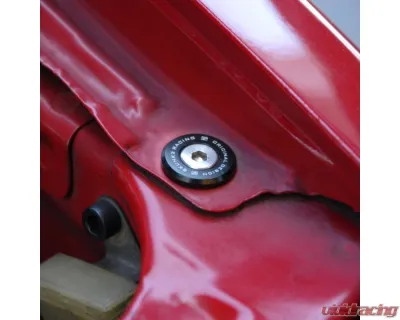 Skunk2 Large Fender Washer Kit Black - 649-05-0225