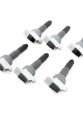 Rennline Ignition Coil Porsche 911.1 Targa | Carrera | 981 Boxter | Cayman 3.4L | 3.8L 2009-2019                                     - M69 - Image 5