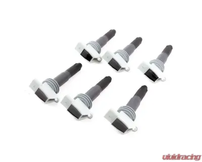 Rennline Ignition Coil Porsche 911.1 Targa | Carrera | 981 Boxter | Cayman 3.4L | 3.8L 2009-2019 - M69