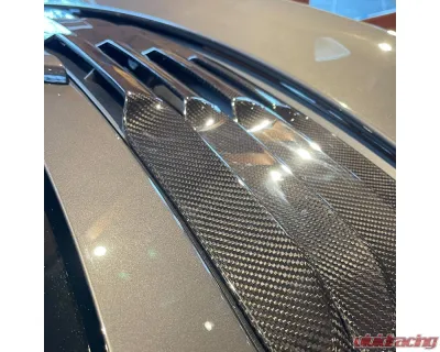 Rennline Carbon Fiber Decklid Louvers Porsche 991.1 Turbo | Turbo S 2013-2016 - E392