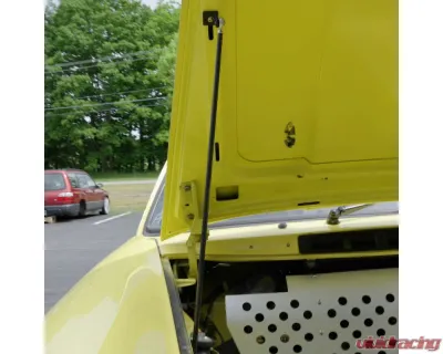 Rennline Lightweight RS Style Hood Prop Fbody | Gbody - E398