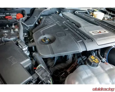Corsa Performance Aluminum Oil Catch Can w/ Bracket Ford Mustang GT 5.0L V8 2018-2022 - CC0003